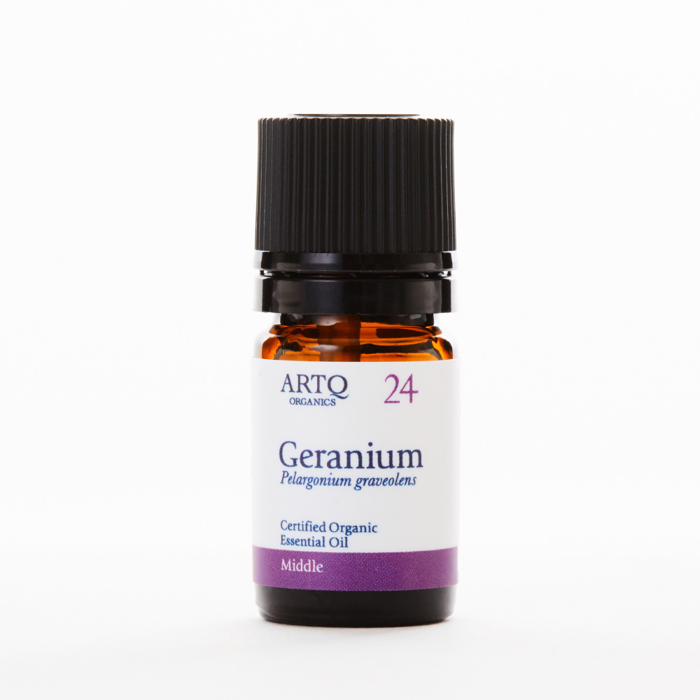 Geranium 天竺葵 | 精油