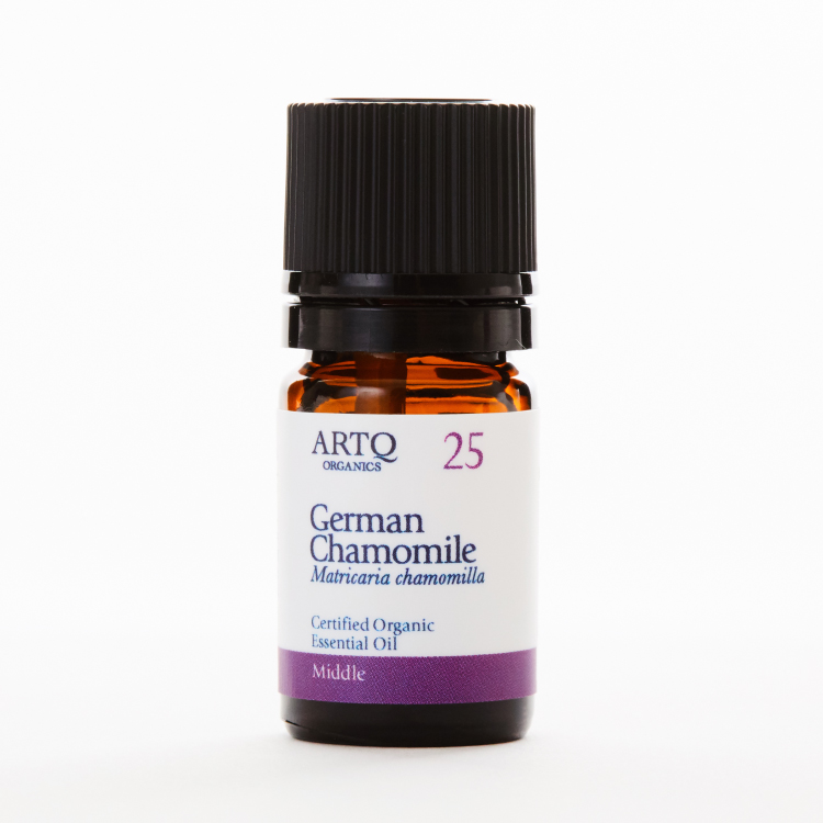 German Chamomile 德国洋甘菊 | 精油