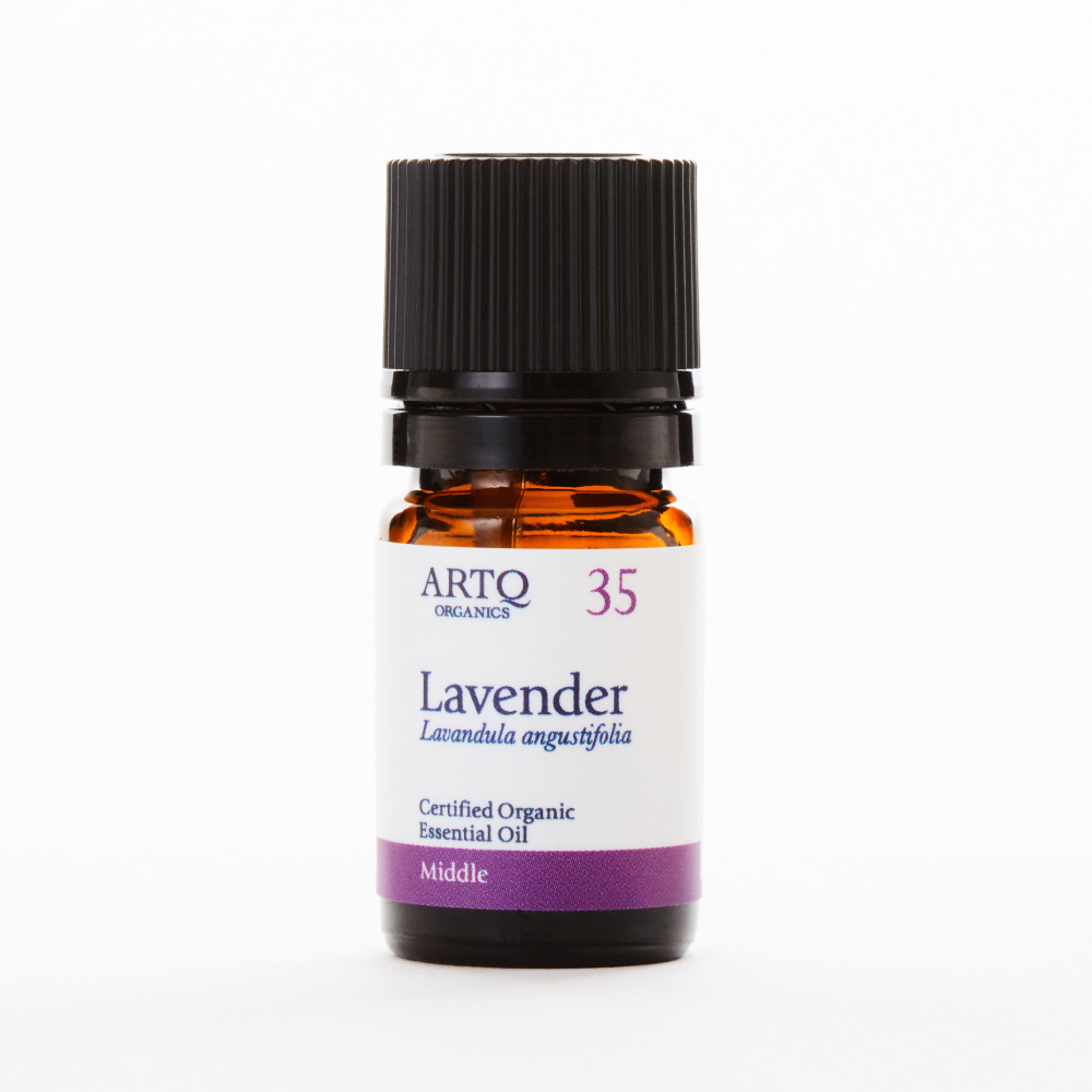 Lavender 薰衣草 | 精油