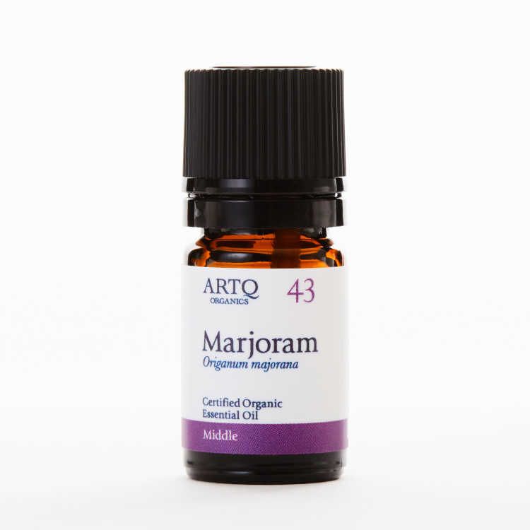 Marjoram 马郁兰 | 精油