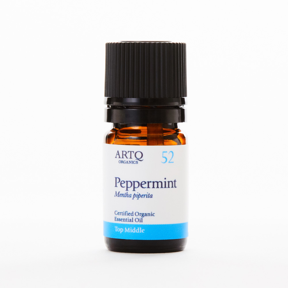 Peppermint 薄荷 | 精油