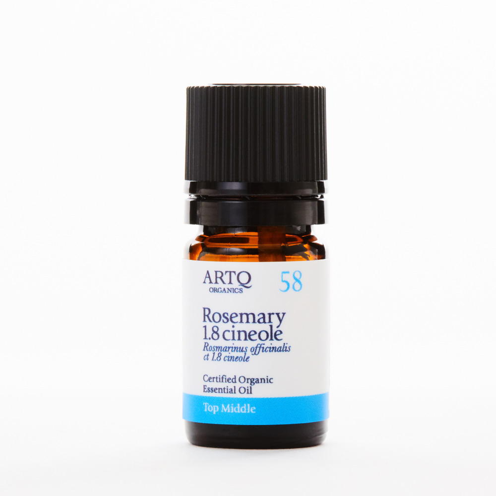 Rosemary 1.8 Cineole 桉油醇迷迭香 | 精油