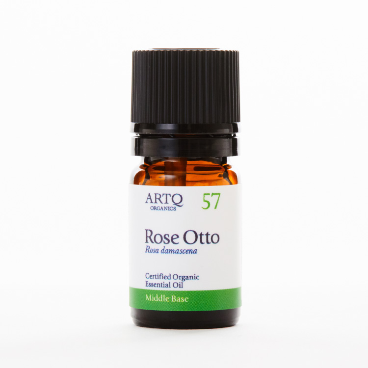 Rose Otto  奥图玫瑰 | 精油