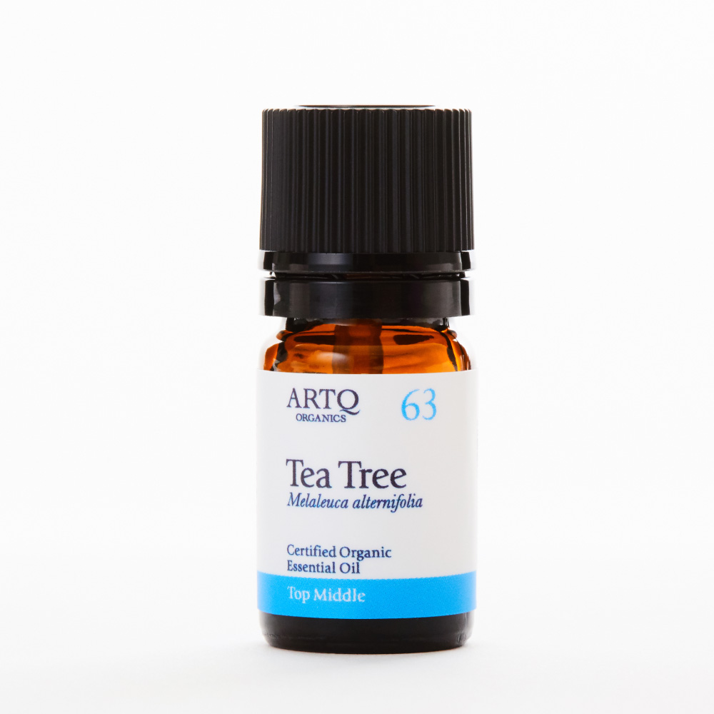 Tea Tree 茶树 | 精油